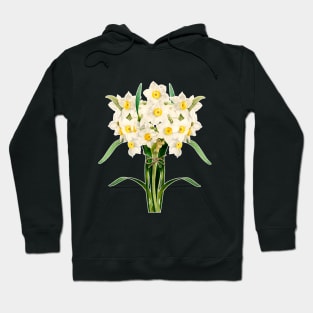 Bunch of daffodils - mellow yellow Hoodie